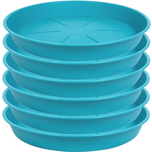 OVZILKI 6 Pack of Plant Saucer Tray 7 8 inch, Heavy Duty Plastic Pot Plant Drip Trays Saucers for for Indoors Outdoor, Plant Water Tray for Planters 7-9" (8", Teal) - color: Teal, size: 8" - 6 Pack