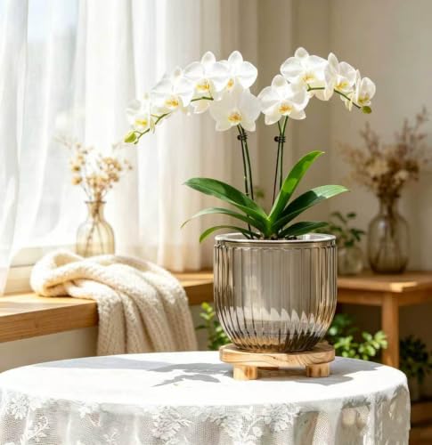 Melphoe Self Watering Pots for Indoor Plants Planter, 8.3 Inch 2 Pack Planters Self Watering Plant Pots for Flower, Houseplants, Succulent, African Violets and Cactus with Drainage - color: Light Grey, size: 8.3''