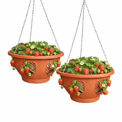 Ultimate Hanging Baskets - Strawberry, Tomato, Flower, and Herb Outdoor Planters - Use Garden Pots for Growing Plants Outside On A Deck, Fence, or Balcony (2, Terracotta) - color: Terracotta