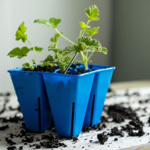 Bootstrap Farmer Reusable 4-Cell Black Large Seed Starting Tray Inserts for Germination, Propagation, and Plant Starts 40-Pack - color: Black, size: 40-pack