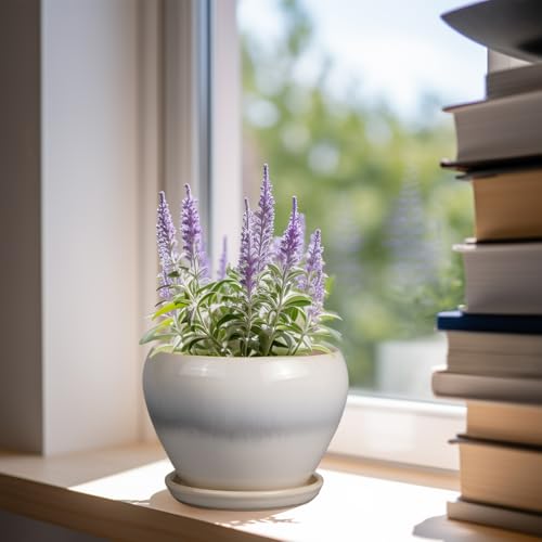 Ceramicfor Planter Pot 6 Inch - Ceramic Plant Pot with Drainage Hole and Saucer, Round Glaze Succulent Pot for Plants, White - color: Cream White, size: 6 Inch
