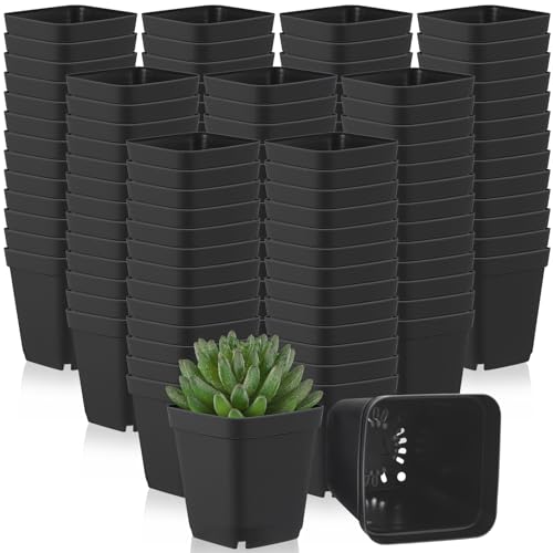 Yaomiao 200 Pack 3 Inch Black Nursery Pot Square Flower Pots Plastic Plant Succulent Planter Seed Starting Pots with Drainage Holes for Garden Office Balcony Decor Indoor Outdoor Plant Seedling - color: Black