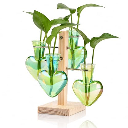 Nacome Plant Terrarium Propagation Stations: Green Vase with Wooden Stand - color: Green