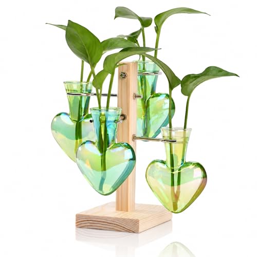 Nacome Plant Terrarium Propagation Stations: Green Vase with Wooden Stand - color: Green