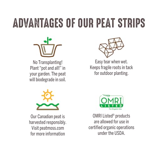 Jiffy Seed Starting Strips - Biodegradable, Plant Starter Pots, 10 Cell, 50 Strips - Peat - color: 50 Strips (500 Cells Total)