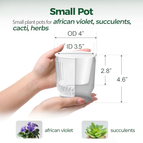 T4U Self Watering Pots for Indoor Plants 4 Inch 4 Pack Planter Clear - color: Clear, size: 4 Inch