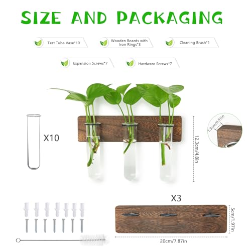 XXXFLOWER Wall Mounted Plant Terrarium with Wooden Stand 3 PCS - size: 9 Glass Tubes with Ring