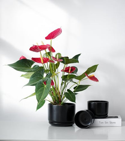 Flower Pots,Ceramic Pots with Drainage Holes & Saucer Set of 3(Matte Black) - color: Matte Black