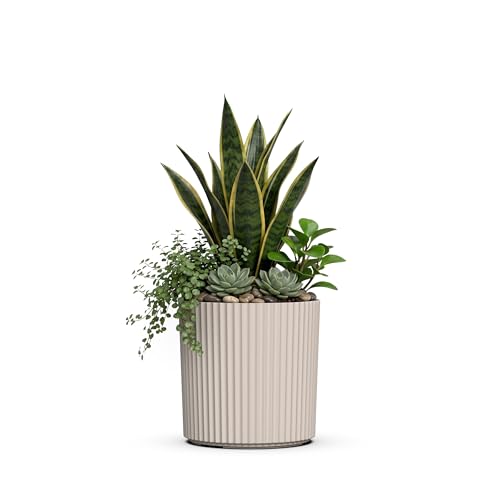 Mayne Haven 10in Round Fluted Modern Planter, Chai - color: Chai, size: 10in
