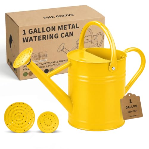 1 Gallon Metal Watering Can for Indoor Outdoor Plants, Sunflower Yellow - color: Sunflower Yellow