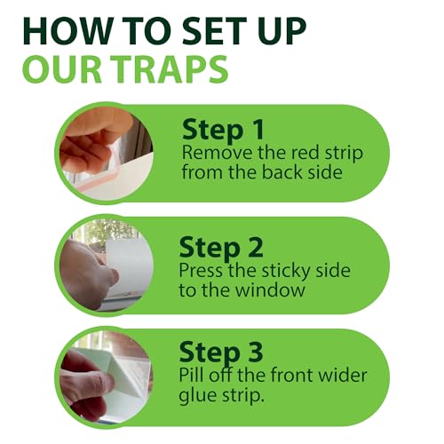 Greenway Window Fly Traps, 3 Packs (Includes 12 Traps) - size: 3 Packs (Includes 12 Traps)