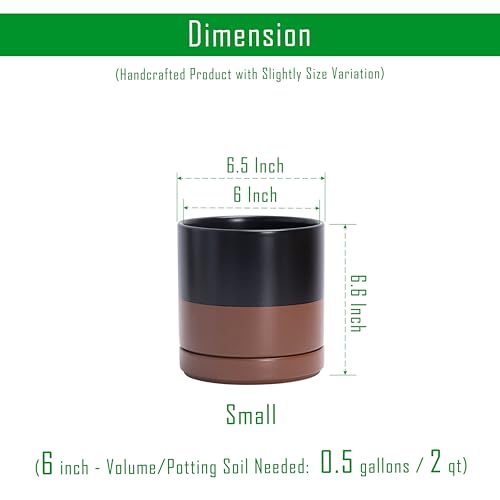 D'vine Dev 2-Pack Ceramic Pots with Saucers, Black/Tan, 6.5 in, 94-V-C-7 - color: Black/Speckled Tan, size: 6 Inch