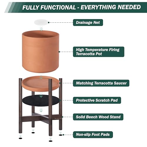 D'vine Dev Terracotta Pot with Walnut Wood Stand, 8 in, 55-B-Y-5 - color: Terracotta Pot + Walnut Color Stand, size: 8 Inch