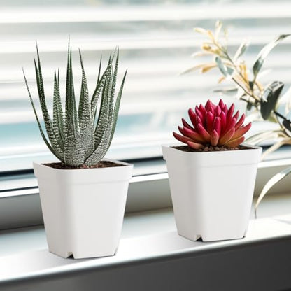 80 Pcs Nursery Pots 4 Inch, Plastic Seed Starting Pot with Drainage Holes, Small Sturdy Seedling pots for Planting, Succulents, Transplanting, Cuttings (White) - color: White, size: 4 Inch-80P