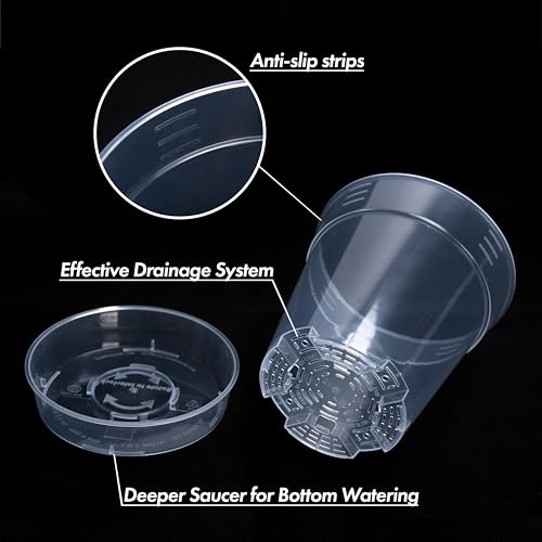 1 Gallon 6 Inch Clear Plastic Plant Pot with Drainage Holes, Interlocking & Detachable Tray - Deep Saucer - Durable BPA-Free Plastic, Transparent Design, Raised Base for Airflow, Set of 6, 92-X-A-6 - size: 6.5" x 7"