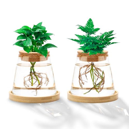 2 Pcs Plants Propagation Station, Desktop Glass Planter Station