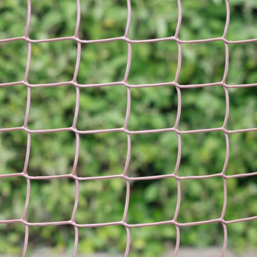 JB Retail Solutions Garden Experts 19mm 0.5 x 6m Plastic Garden Mesh - Brown