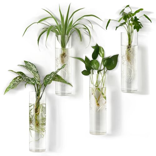 Mkono Wall Hanging Vases, 4 Pack Glass Propagation Stations Flower Planter