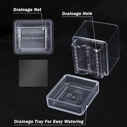 D'vine Dev 3-Pack Acrylic Herb Planter Pots, 4 in, Clear, 76-Y-D-1 - color: Clear, size: 12 Inch x 4.5 Inch