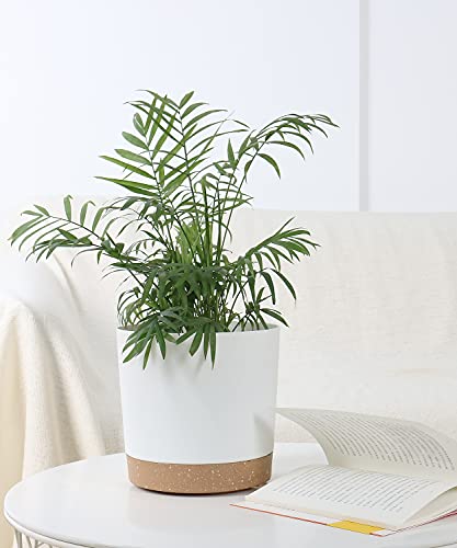 kubvici Indoor Plant Pots Planters 8 inch Plastic Planter (White x 3 Pack) - color: White 3, size: 8 inch