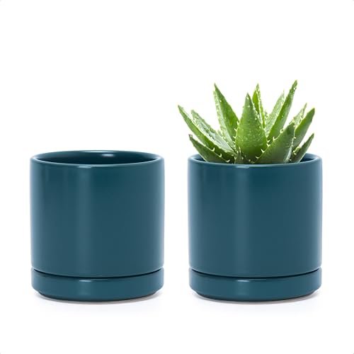 D'vine Dev 2-Pack Ceramic Pots with Saucers, Teal, 3.5 in, 94-V-A-9 - color: Teal, size: 3.5 Inch