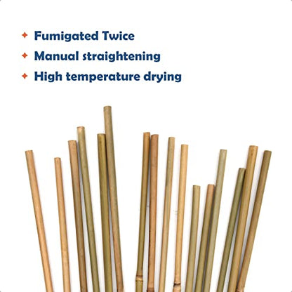 COLOtime Bamboo Stakes 2FT Garden Plant Stakes for Indoor Plants 30 Pack - size: 2ft, 30 Pack