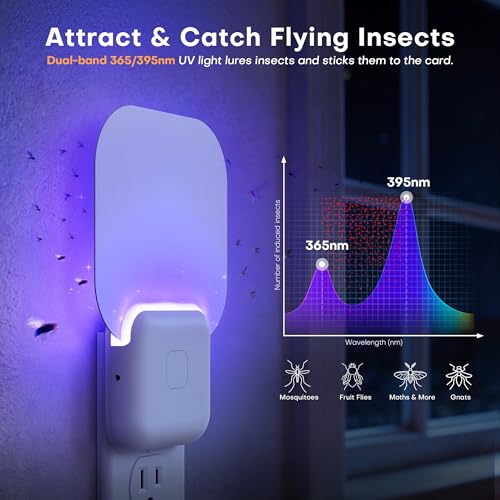 Fruit Fly Trap Indoor 2 Pack Gnat Trap - Flying Insect Trap with 6 Refills