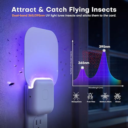 Fruit Fly Trap Indoor 2 Pack Gnat Trap - Flying Insect Trap with 6 Refills