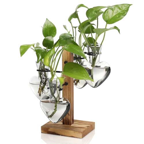 Plant Terrarium Propagation Stations with Wooden Stand - color: Grey
