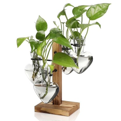 Plant Terrarium Propagation Stations with Wooden Stand - color: Grey