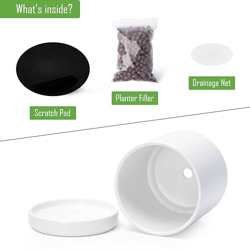D'vine Dev 2-Pack Ceramic Pots with Saucers, White, 6.5 in, 94-V-C-1 - color: White, size: 6 Inch