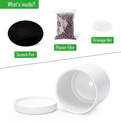 D'vine Dev 2-Pack Ceramic Pots with Saucers, White, 6.5 in, 94-V-C-1 - color: White, size: 6 Inch