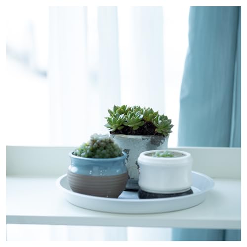 4 Pack 10 Inch White Plant Saucers Plastic Drip Trays for Pots - color: White, size: 10 Inch