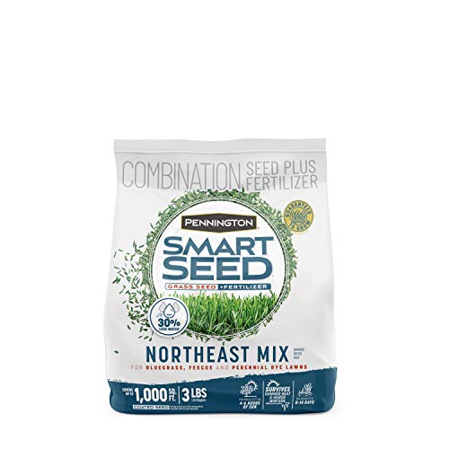 Pennington Smart Seed Northeast Mix 3lb, Grass Seeds for Lawn - size: 3 lb