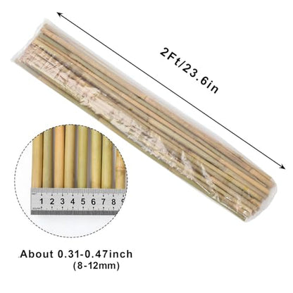 Natural Bamboo Poles, 2 Feet Bamboo Sticks for Plants, Wood Garden Stakes for Tomato, Bean, Flowers, Trees Potted and Climbing Plants, 25 Pack - size: 2FT-25PCS