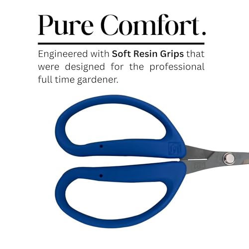CHIKAMASA CRI-550SRF(Blue), The Specialty Trimming Precise Scissors, Stainless Steel with Fluorine Coating, Curved Blade for Trimming, harvesting vegetables and fruit, wide gardening use. - color: Silver/Blue