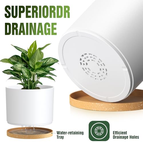 10/9/8 Inch Plant Pots 3 Pack, with Drainage Hole & Saucers - color: Matte White&brown