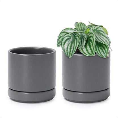 D'vine Dev 2-Pack Ceramic Pots with Saucers, Grey, 4.7 in, 94-V-B-3 - color: Gray, size: 4.7 Inch