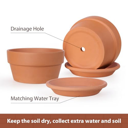 INGOFIN 8 Inch Terracotta Shallow Pots Set with Saucer - Ceramic Clay Pots with Drainage Hole, Terra Cotta Pot for Plants for Indoor Outdoor Plants, Set of 2 - size: Shallow 8/8 inch -2 pcs