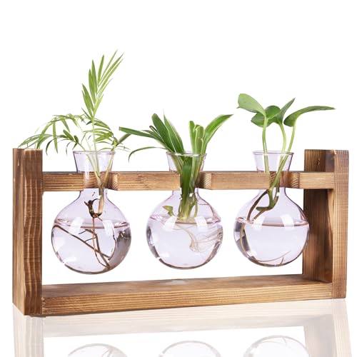 Kingbuy Glass Plant Terrarium Propagation Station, 3 Bulb, Pink - color: Pink