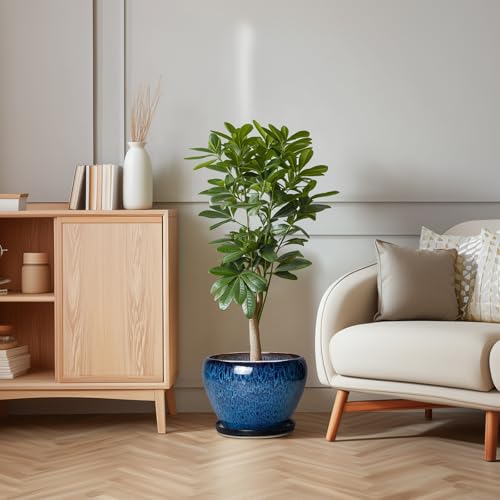 10 Inch Plant Pot, Ceramic Planter with Drainage and Saucer, Blue - color: Blue, size: 10 Inch