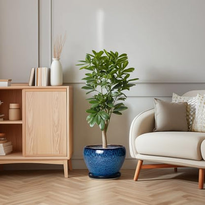 10 Inch Plant Pot, Ceramic Planter with Drainage and Saucer, Blue - color: Blue, size: 10 Inch