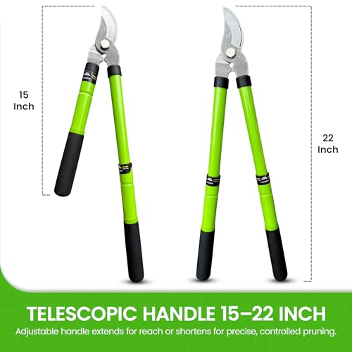 Garden Guru Bypass Loppers Tree Trimmer Clipper w/Telescopic Handle 15–22" - High Carbon Steel Blade Gardening Loppers Pruning Shear - Comfort Grip Handles – Branch Cutter (4 Pack) - size: 4 Pack, style: Extendable Bypass Loppers