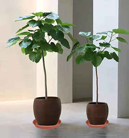 6 Pack of 10 inch Plant Saucer, Heavy Duty Plastic Pot Saucer 10" Round, Planter Tray for Pots, Plant Saucers for Indoors, Pot Trays for Planter 8"/9"/10" (10 inch, Terracotta) - size: 10" (6 pack)