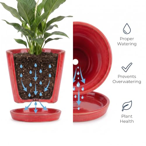EFISPSS Red Four-piece Set - color: Red