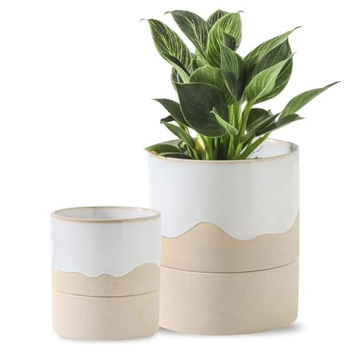 Nihow Self Watering Ceramic Planter, 4.5+6 Inch, White & Nature - color: White & Nature, size: 4.5"+6" Self Watering