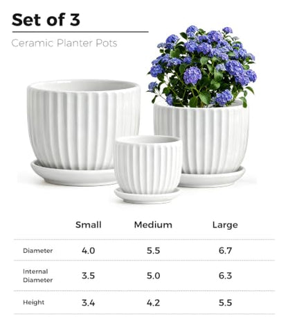 White Plant Pots,Ceramic Flower Pot Set of 3 with Drainage Holes & Saucers - color: White