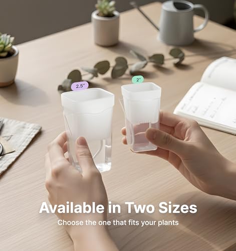 12 Pack 2" Small Clear Self Watering Pots with Humidity Dome for Indoor Plants, Seed Starter Cups, Tissue Culture Acclimation Kit,Alocasia Corm Propagation,African Violet,Cuttings,Seedlings - color: Frosted Clear, size: 2"