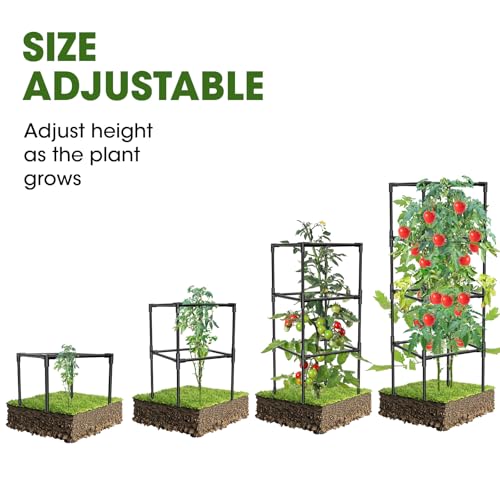 3 Pack Tomato Cages, Square Tomato Plant Stakes Support Cages Trellis for Garden Climbing Vegetables Flowers Fruits,Extra Bold,Black - color: black