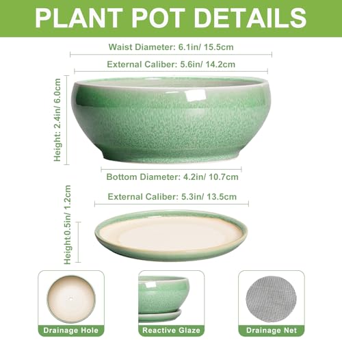 SQOWL Succulent Pots 6 Inch - Ceramic Bonsai Planter for Indoor Plants Outdoor, Shallow Planter with Drainage Hole and Tray, Round Planters for Cactus Flower, Office Decor, Gardening Gifts, Green - color: Green, size: 6 Inch